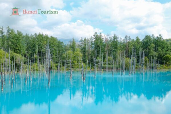 Hồ Ngọc Bích (Blue Pond) - Nhật Bản